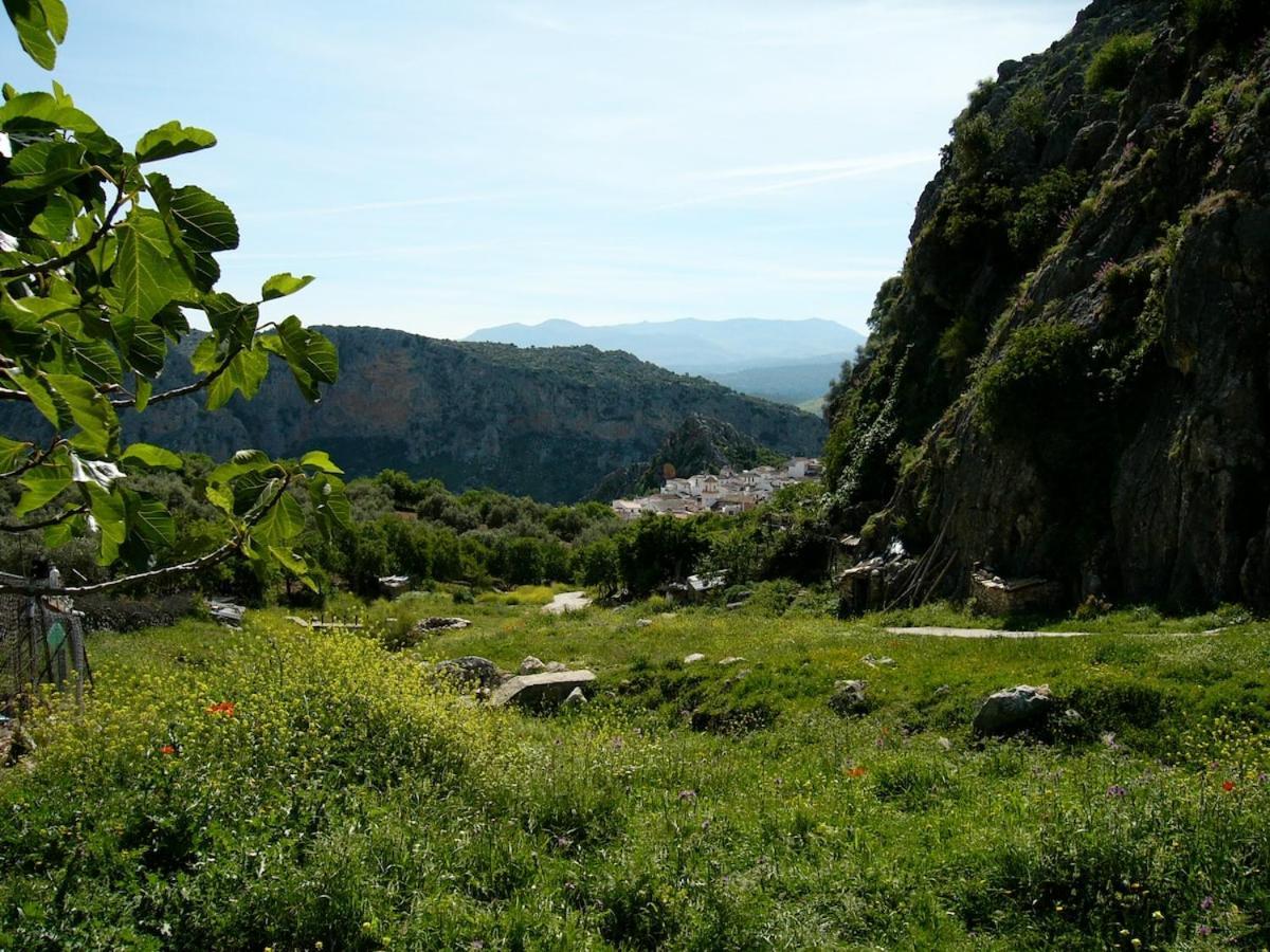 Puerta Grande Villa Montejaque Kültér fotó